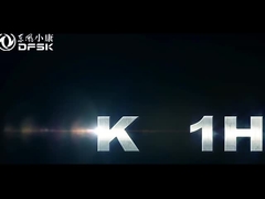 Certificat UE dfsk K01H LHD